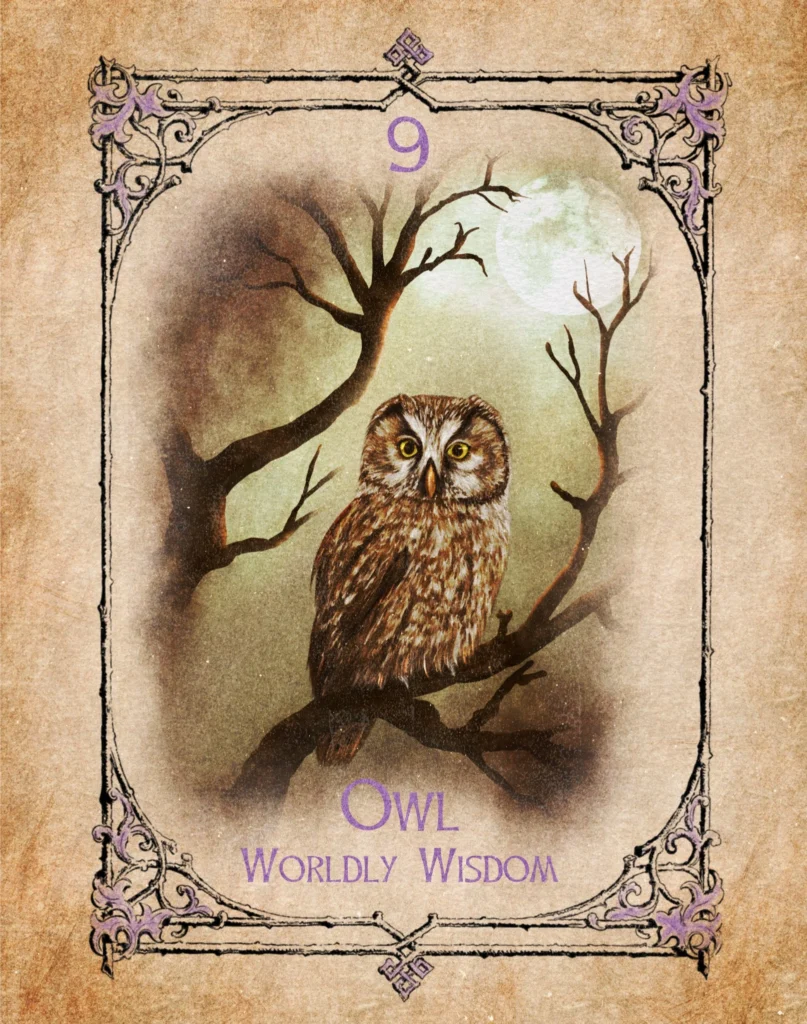 Owl - Worldly Wisdom - Animal Spirit Oracle Illustration of an owl representing worldly wisdom in the Animal Spirit Oracle.