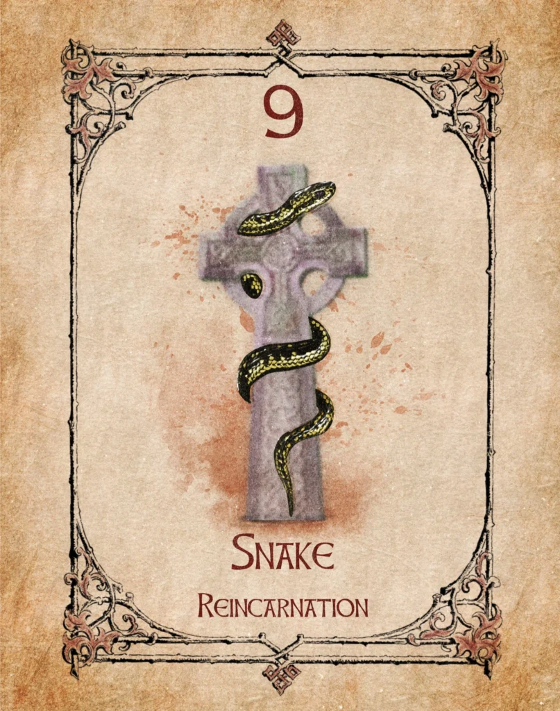 Snake Animal Spirit Oracle Illustration of a snake coiled around a Celtic cross on the Animal Spirit Oracle card representing reincarnation.