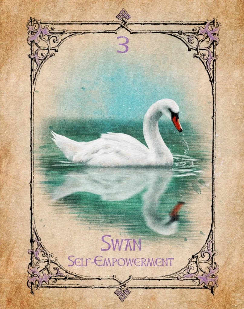Swan - Self-Empowerment - Animal Spirit Oracle Illustration of a swan representing self-empowerment in the Animal Spirit Oracle.