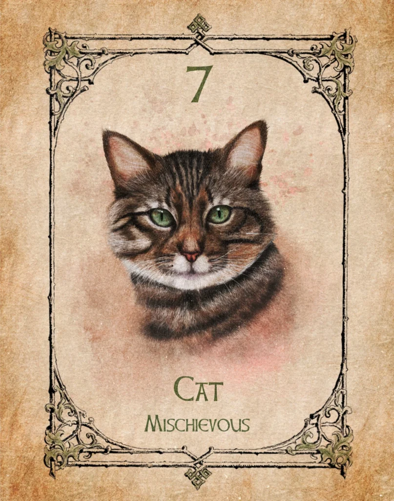 cat-mischievous-animal-spirit-oracle Cat Animal Spirit Oracle illustration representing mischievousness, independence and regal confidence.