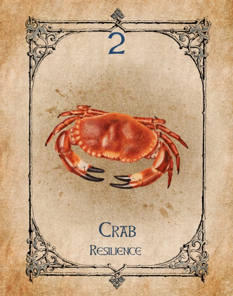 crab-resilience-animal-spirit-oracle Illustration of a crab representing resilience in the Animal Spirit Oracle.