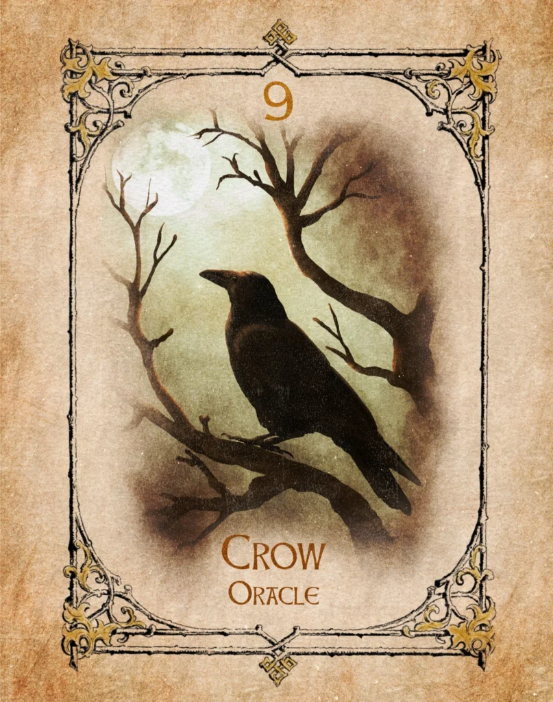 crow-oracle-animal-spirit-oracle Crow Animal Spirit Oracle illustration representing oracle, intuition, wisdom and ancestral guidance.