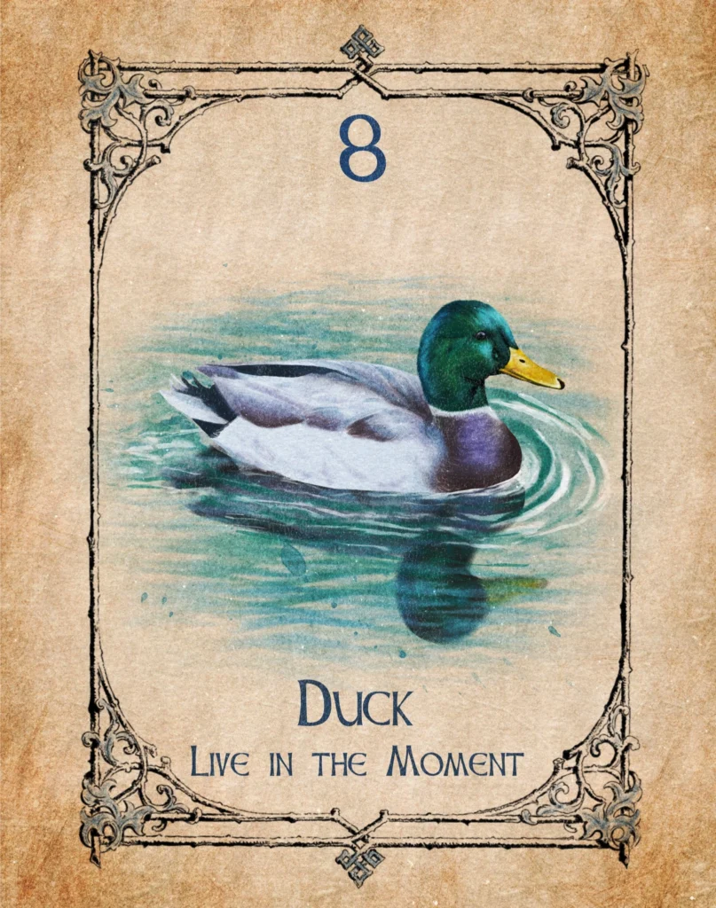 duck-live-in-the-moment-animal-spirit-oracle Illustration of a duck representing living in the moment in the Animal Spirit Oracle.