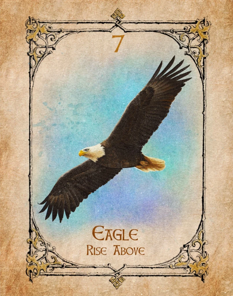 eagle-rise-above-animal-spirit-oracle-v2 Eagle Animal Spirit Oracle illustration representing rising above challenges, wisdom and expanding perspective.