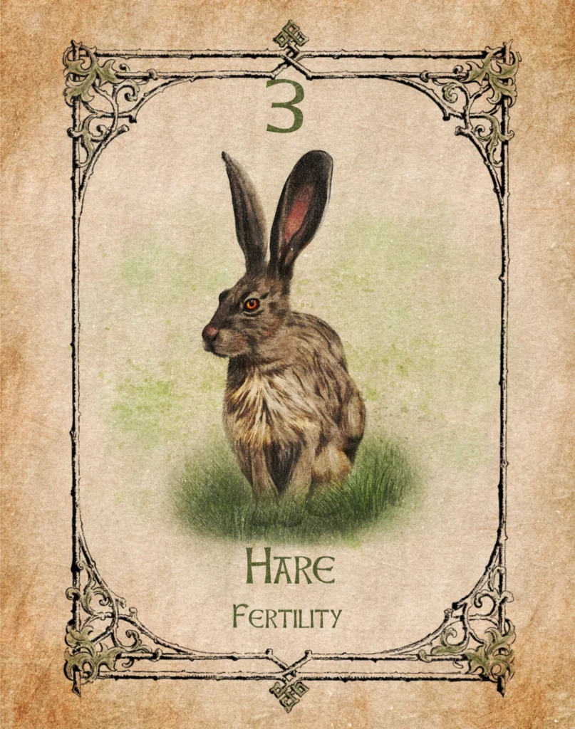 hare-fertility-animal-spirit-oracle Hare Animal Spirit Oracle card symbolising fertility, new beginnings, abundance and the natural cycle of growth.