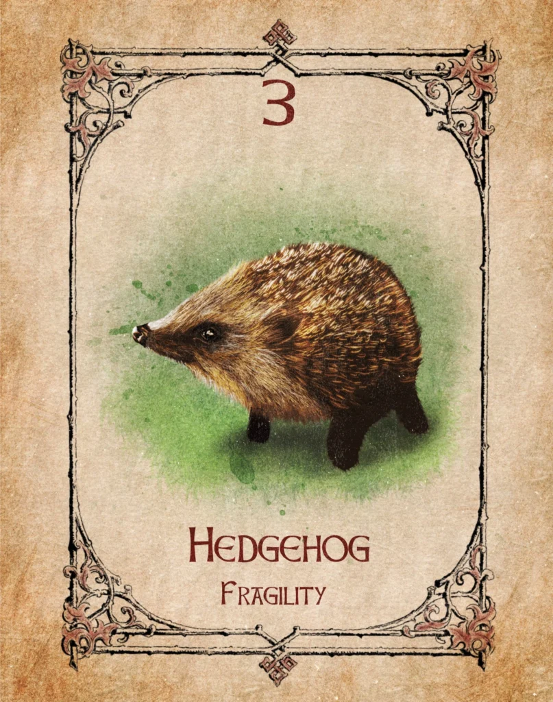 hedgehog-fragility-animal-spirit-oracle Hedgehog Animal Spirit Oracle illustration representing fragility, inner peace, wisdom and protection.