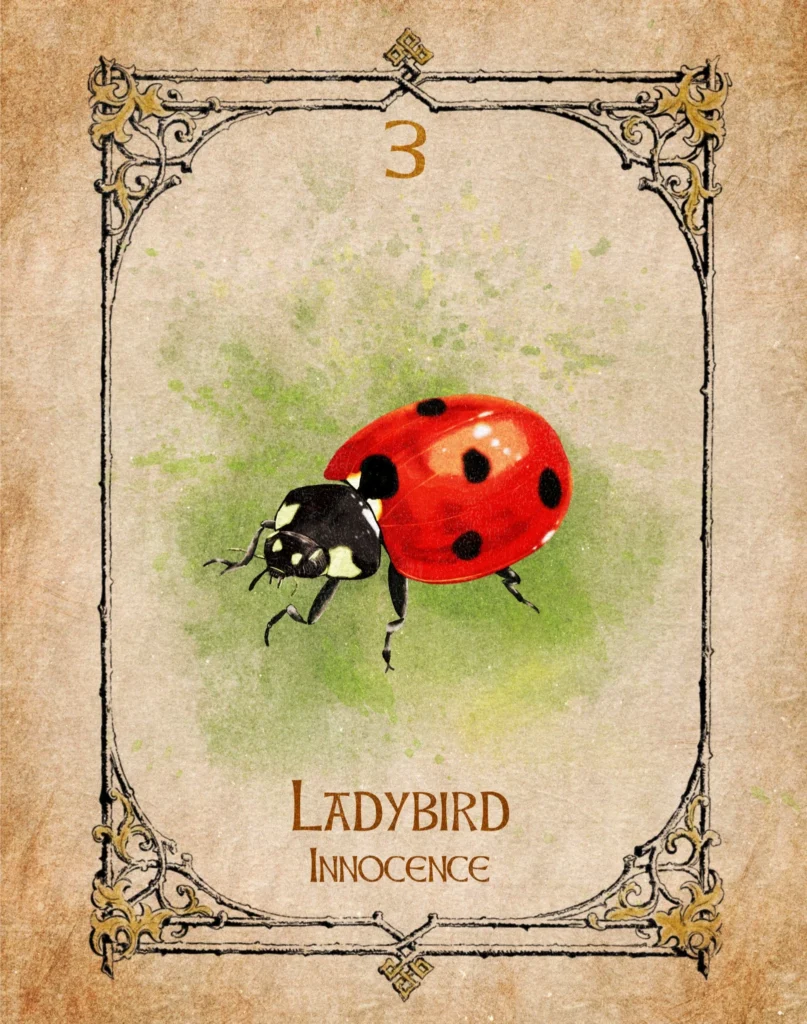 ladybird-innocence-animal-spirit-oracle Ladybird Animal Spirit Oracle illustration representing innocence, fun, creativity and positive change.