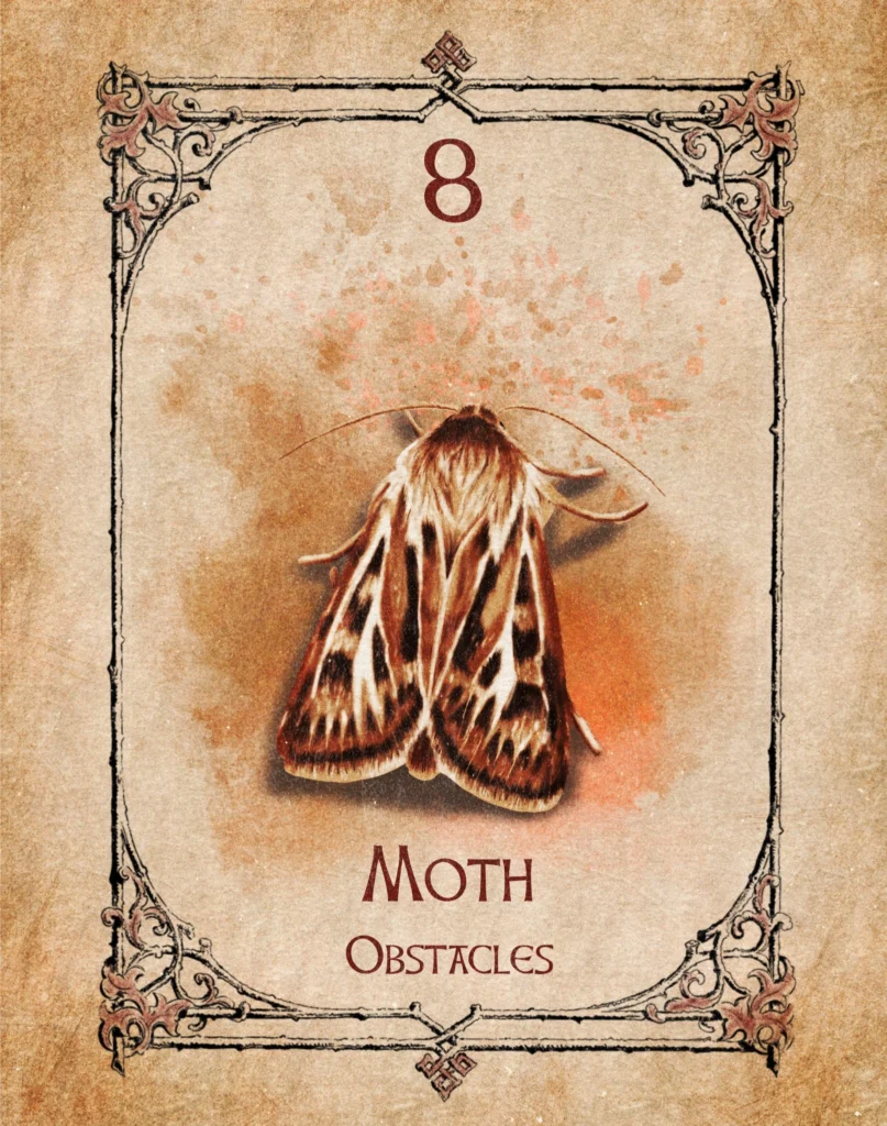 moth-obstacles-animal-spirit-oracle Illustration of a moth on the Animal Spirit Oracle card representing obstacles.