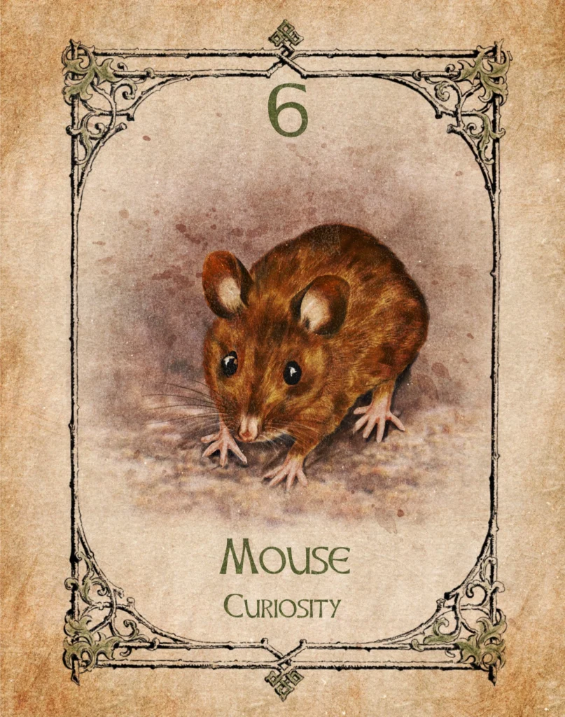 mouse-curiosity-animal-spirit-oracle Mouse Animal Spirit Oracle illustration representing curiosity, awareness and attention to detail.