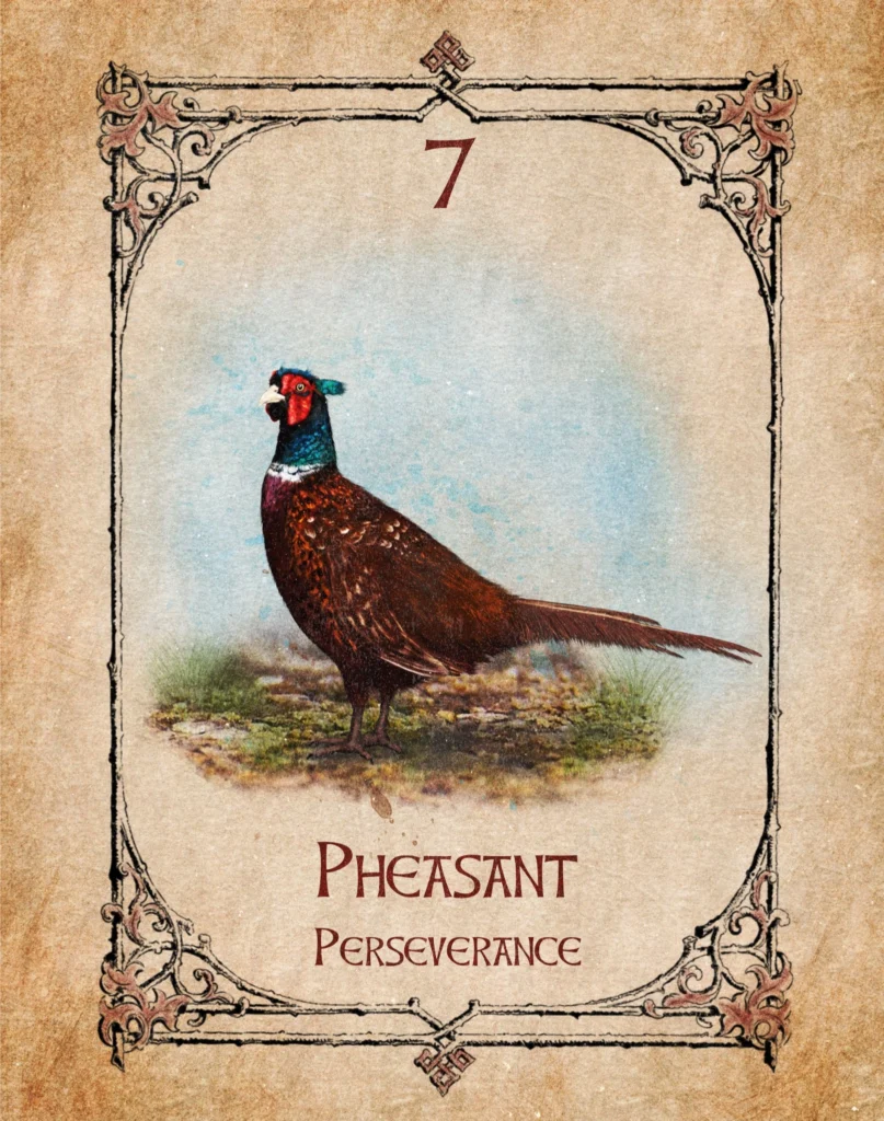 pheasant-perseverance-animal-spirit-oracle Pheasant Animal Spirit Oracle illustration representing perseverance, experience and intuition.