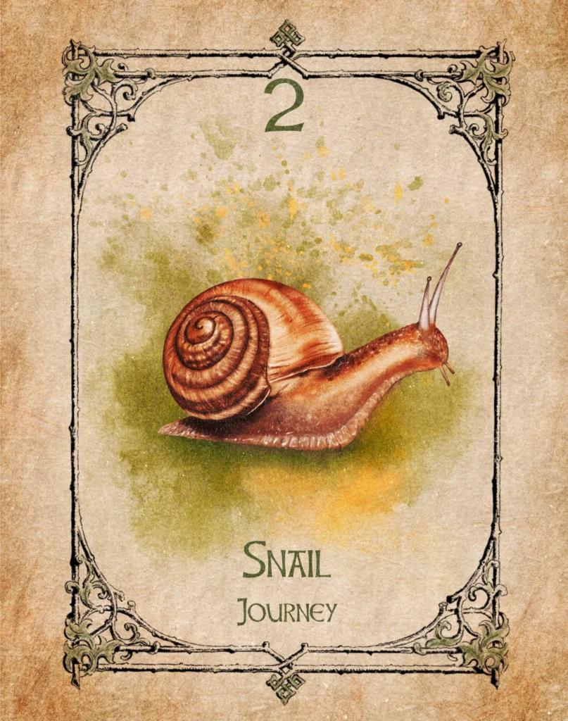 snail-journey-animal-spirit-oracle Snail Animal Spirit Oracle card symbolising the journey of life, patience, perseverance, inner wisdom and steady spiritual growth.