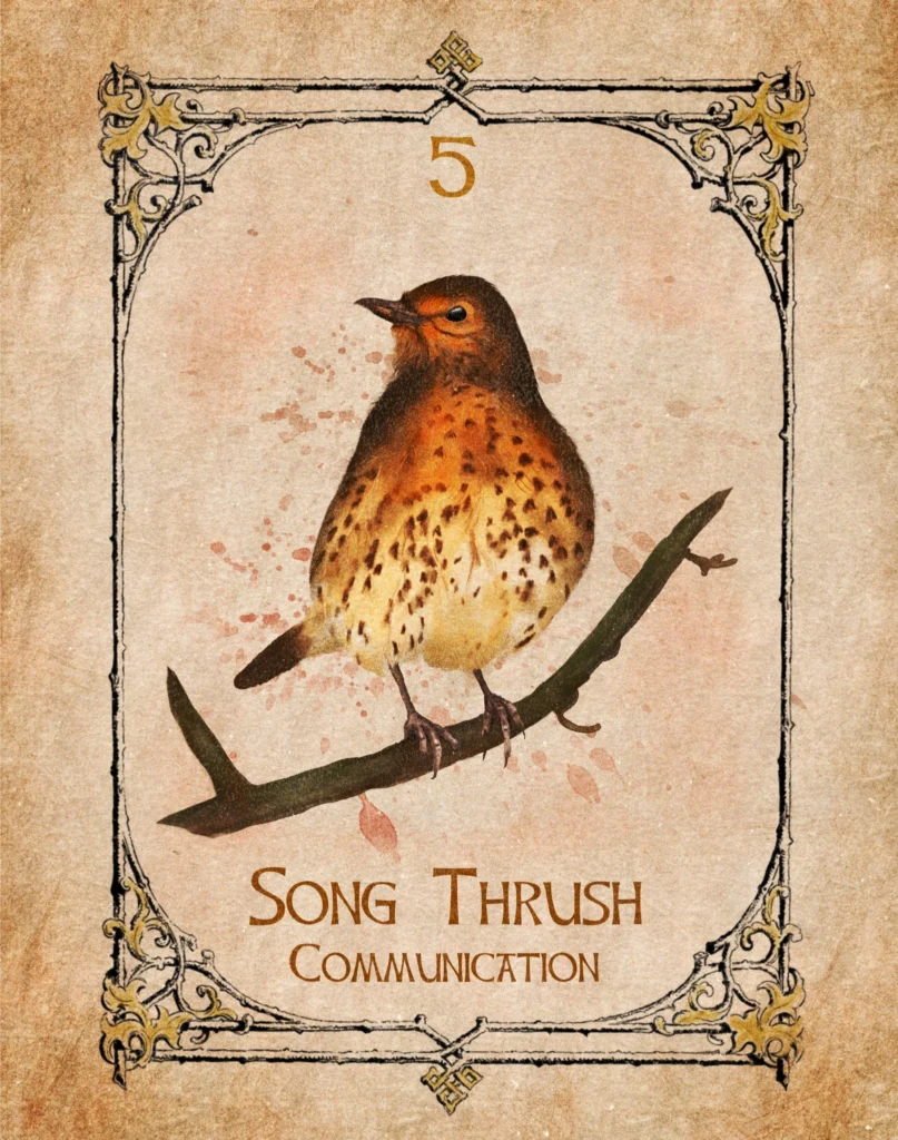 song-thrush-communication-animal-spirit-oracle Song Thrush Animal Spirit Oracle illustration representing communication, change and new beginnings.