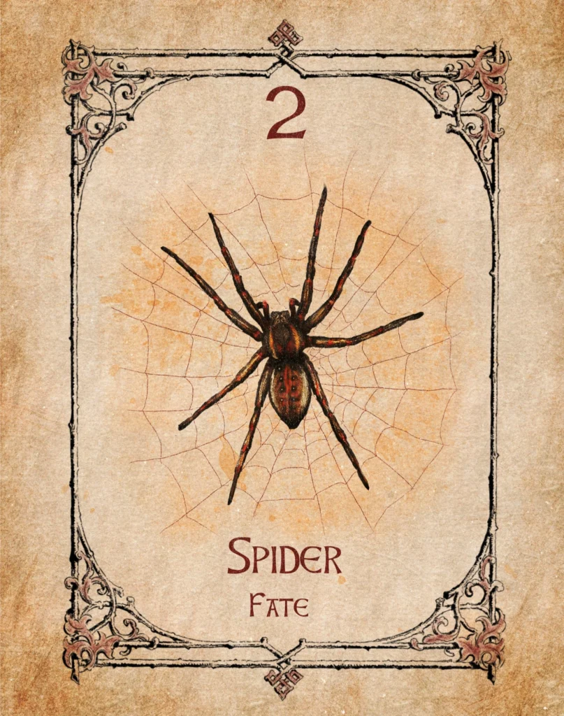 spider-fate-animal-spirit-oracle Spider Animal Spirit Oracle illustration representing fate, destiny, fortune and the web of life.