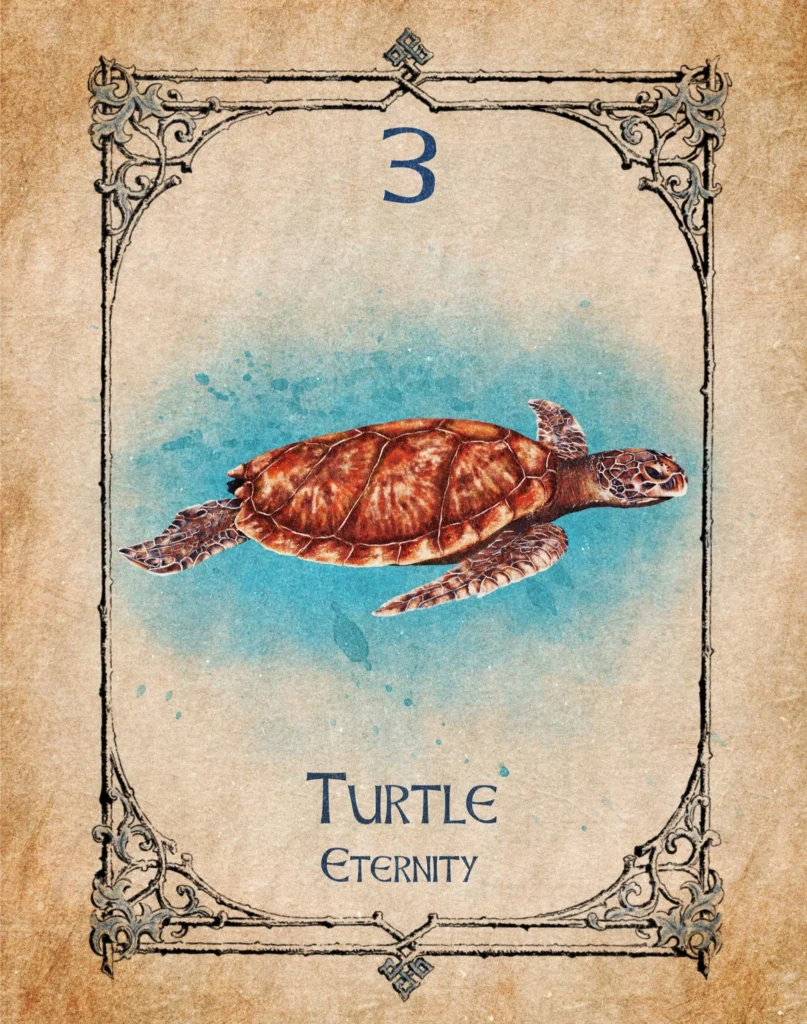 turtle-eternity-animal-spirit-oracle Illustration of a turtle representing eternity in the Animal Spirit Oracle.