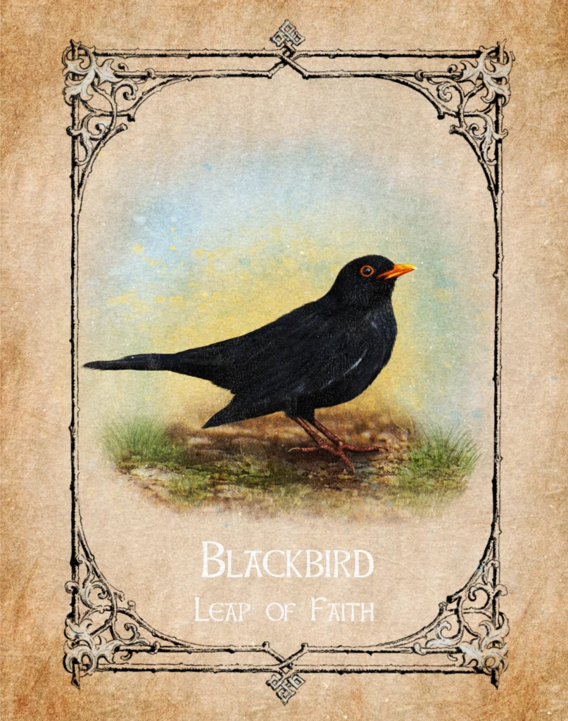 blackbird-leap-of-faith-animal-spirit-oracle Illustration of a Blackbird representing leap of faith in the Animal Spirit Oracle.